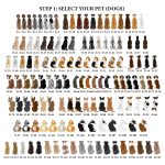 Personalized Pet and Owner Portrait