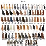 Custom Pet and Owner Gift