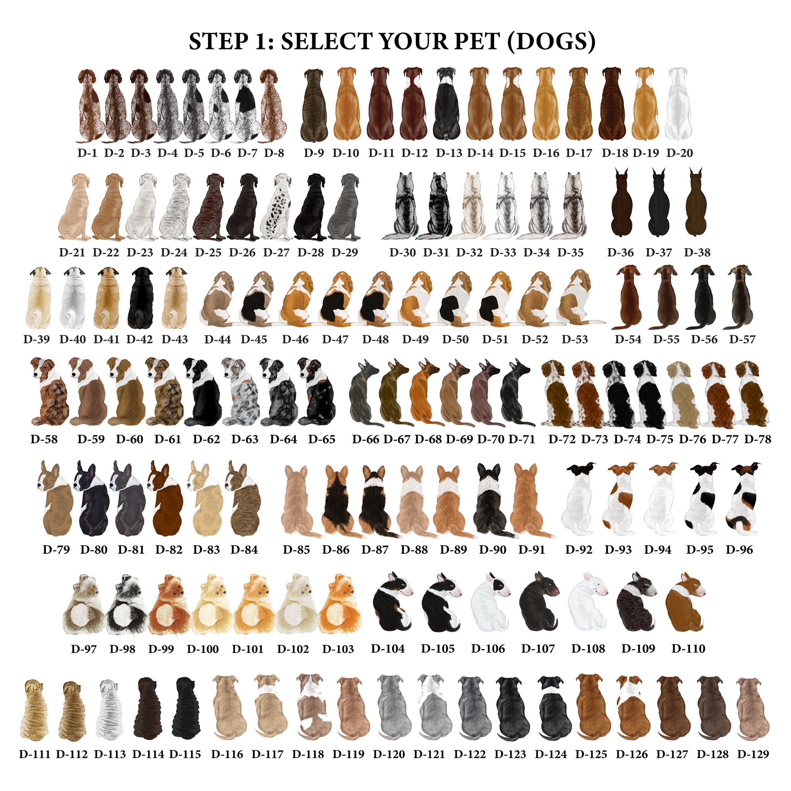 Pet Birthday Gift 02