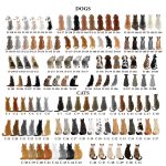 Personalized Christmas Dog Portrait