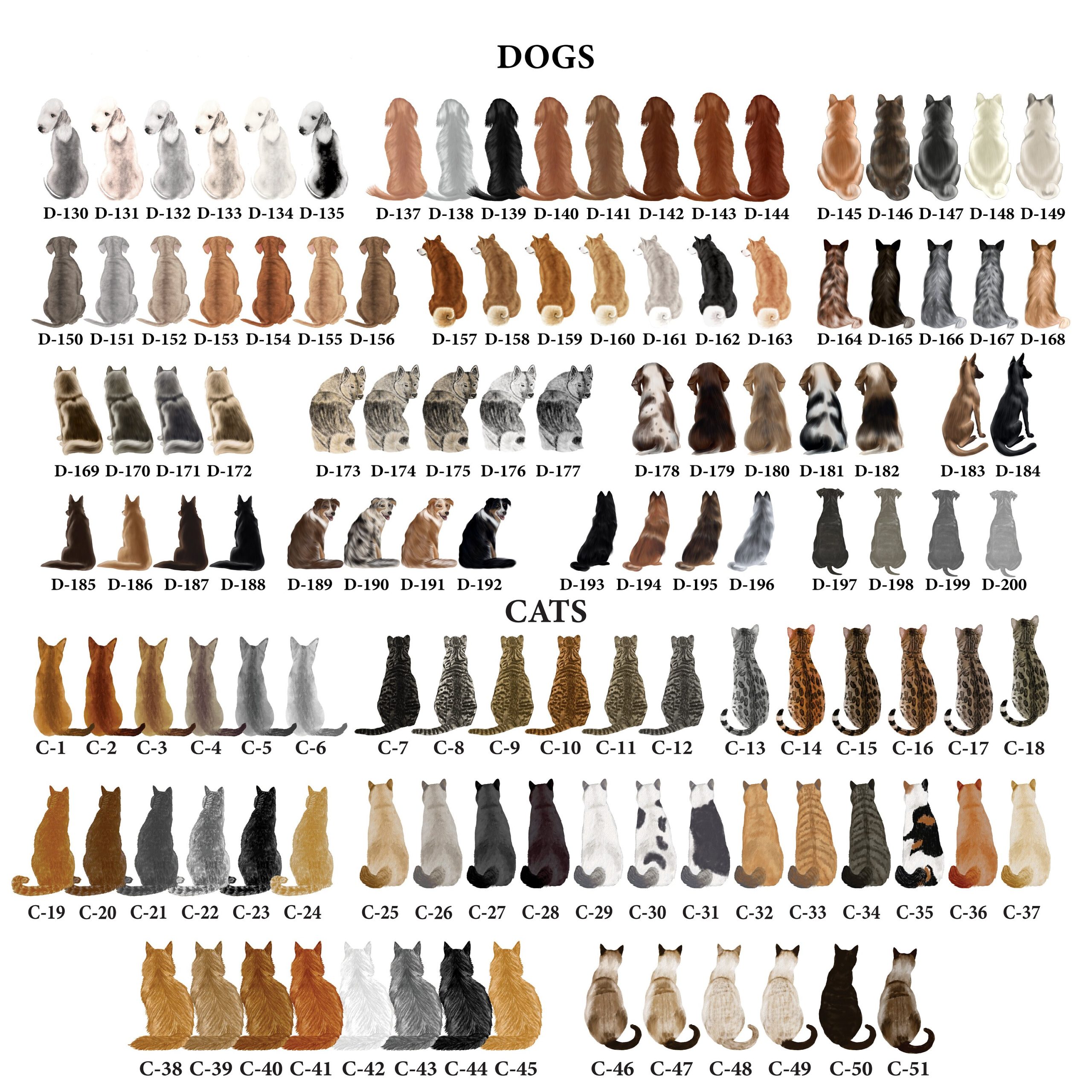 Pet Birthday Gift 03