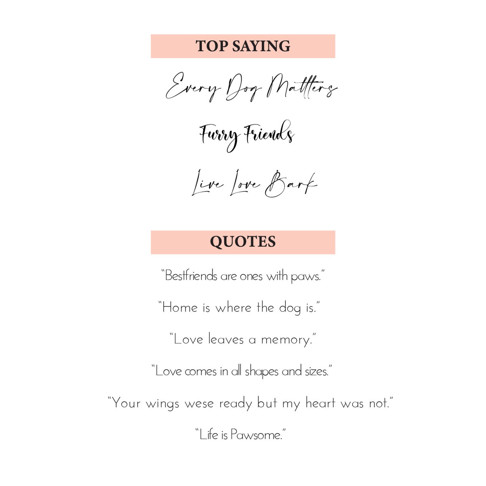 Pet Birthday Gift 06